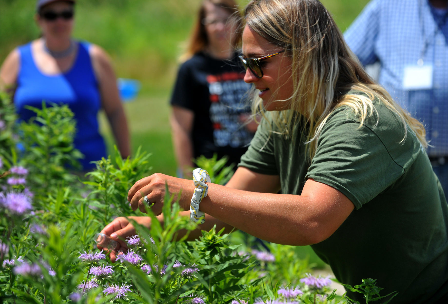 Summer Agriculture Institute tour of Nahant Marsh.